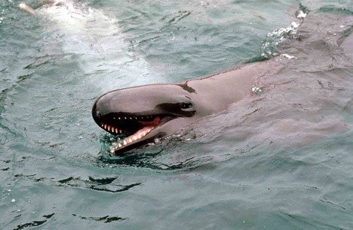 image fkw_thenningsen2-jpg