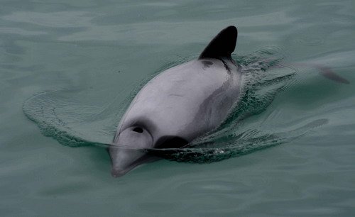 HD SBOND060b image hd_sbond060b-jpg