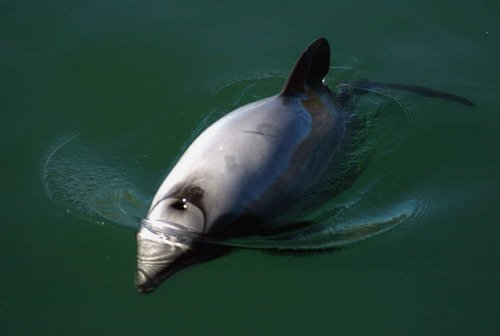 HD SBOND1363a image hd_sbond1363a-jpg