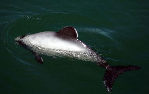 HD SBOND1381b image hd_sbond1381b-jpg