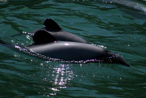 HD SBOND1387a image hd_sbond1387a-jpg