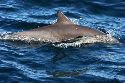 image lbcd_pghevans5708-jpg