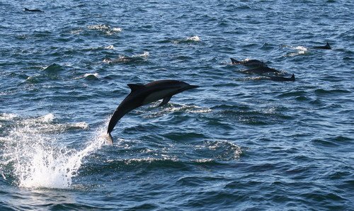 image lbcd_pghevans5942-jpg