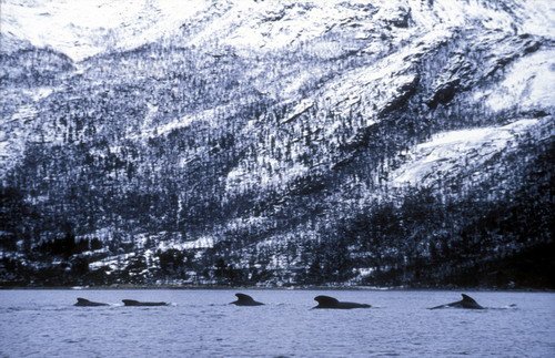 image lfpw_fugarte7-jpg