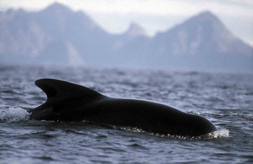 image lfpw_fugarte11-jpg