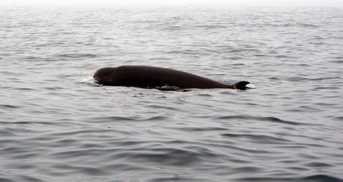 image nbw_lkyhn1-jpg