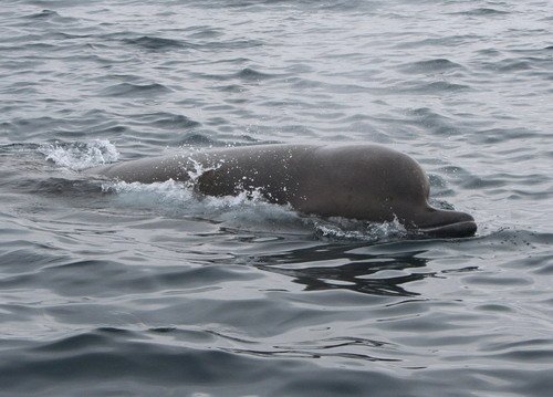 image nbw_lkyhn2-jpg