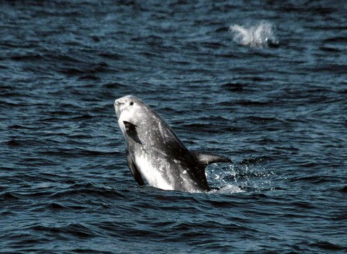 image rd_pghevans22a-jpg