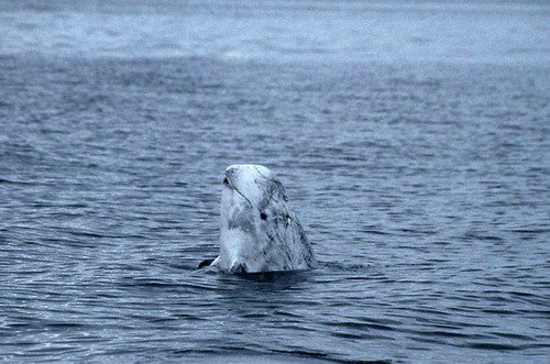 image rd_pghevans28-jpg