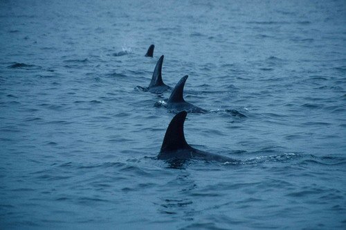 image rd_pghevans3-jpg