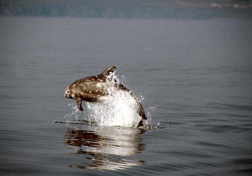 image rd_pghevans31a-jpg