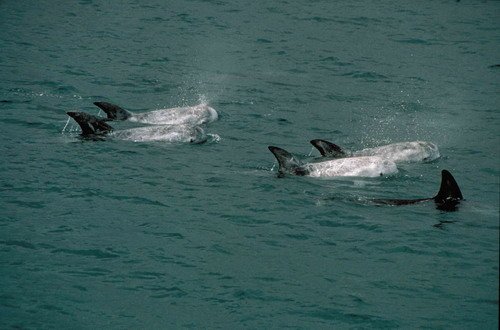 image rd_pghevans38-jpg