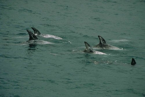 image rd_pghevans39-jpg