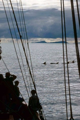 image rd_pghevans56-jpg