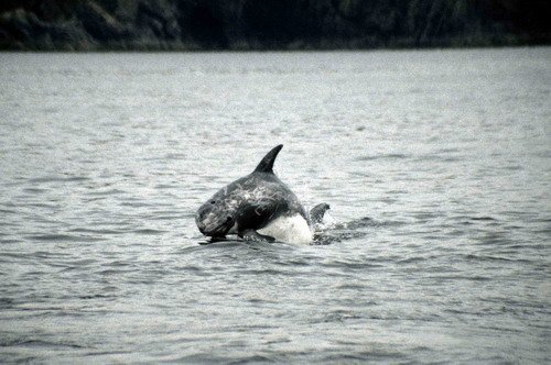 image rd_pghevans6-jpg