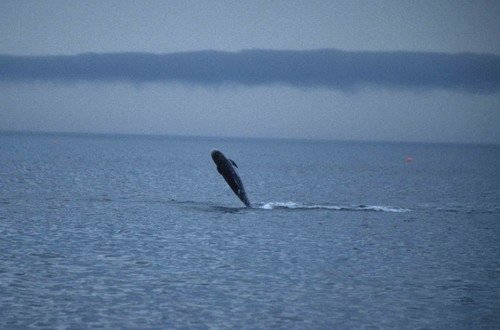 image rd_pghevans7a-jpg