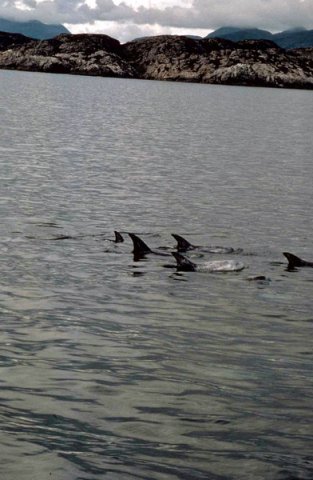 image rd_pghevans12a-jpg