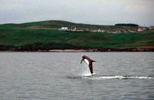 image rd_pghevans45a-jpg