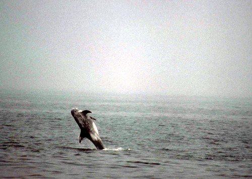 image rd_pghevans51a-jpg