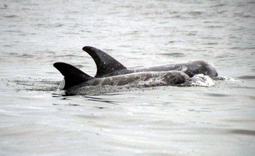 image rd_pghevans8a-jpg