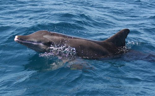 image rtd_emagileviciute_0064-jpg