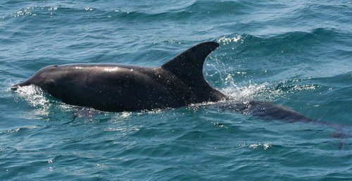 image rtd_emagileviciute_0126-jpg