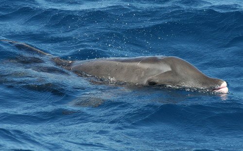 image rtd_emagileviciute_0149-jpg