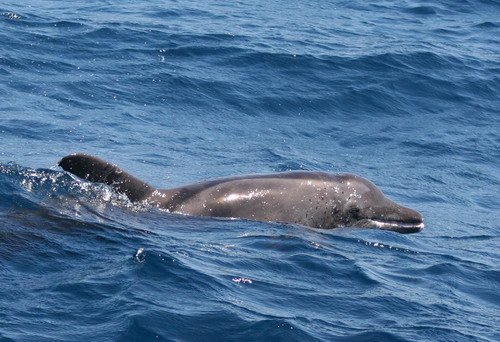 image rtd_emagileviciute_0182-jpg