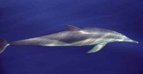 image lbcd_mreichelt-jpg