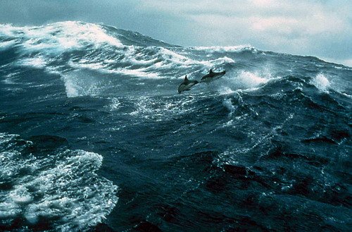 SBCD EKDUNN image sbcd_ekdunn-jpg