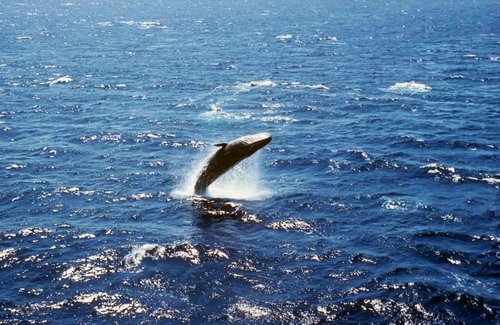 SPW JGordon3 image spw_jgordon3-jpg