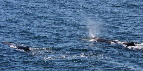 SPW PGHEvans 6064 image spw_pghevans_6064-jpg