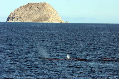 SPW PGHEvans 6172 image spw_pghevans_6172-jpg