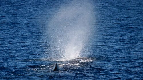 SPW PGHEvans 7749 image spw_pghevans_7749-jpg