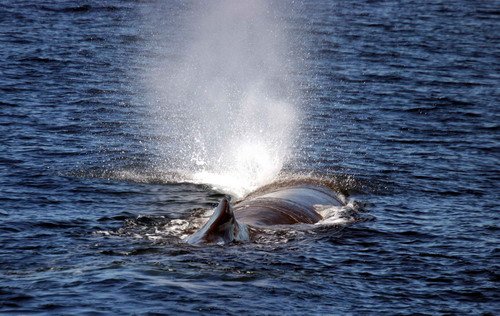 SPW PGHEvans 7752 image spw_pghevans_7752-jpg