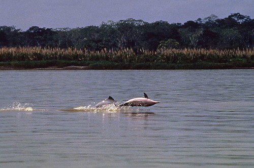 TU FTRUJILLO2 image tu_ftrujillo2-jpg