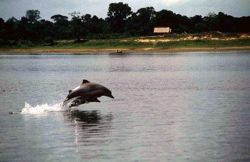 TU FTRUJILLO3 image tu_ftrujillo3-jpg