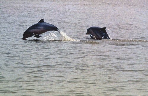 TU FTrujillo4 image tu_ftrujillo4-jpg