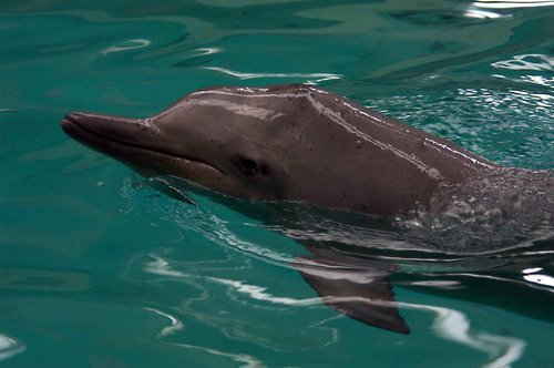 TU MReichelt1a image tu_mreichelt1a-jpg