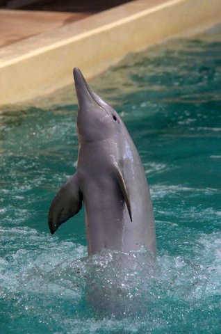 TU MReichelt3a image tu_mreichelt3a-jpg