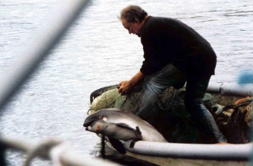 image fishbyc_hp_gkstewart2-jpg