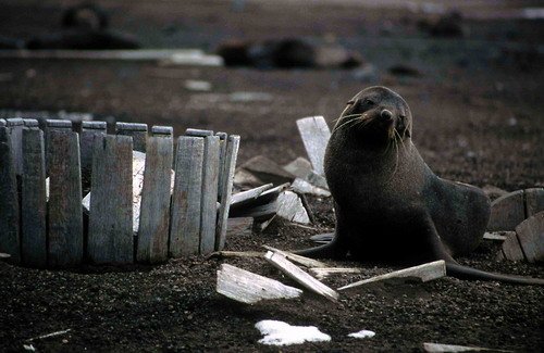 AFURS RWBaird1 image afurs_rwbaird1-jpg