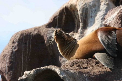 image califs_pghevans6687-jpg