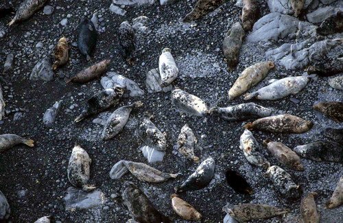 GRS MBAINESs22 image grs_mbainess22-jpg