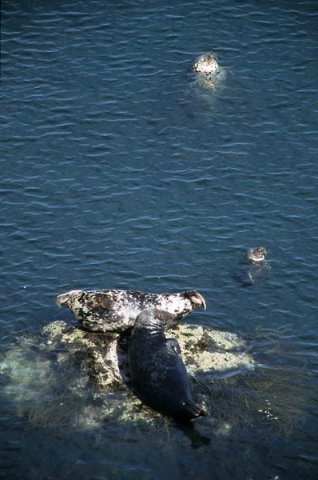 GRS MBaines06 image grs_mbaines06-jpg