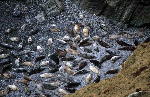 GRS MBaines21 image grs_mbaines21-jpg