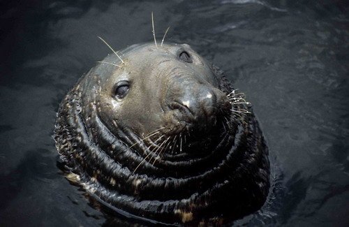 GRS PGHEvans1 image grs_pghevans1-jpg