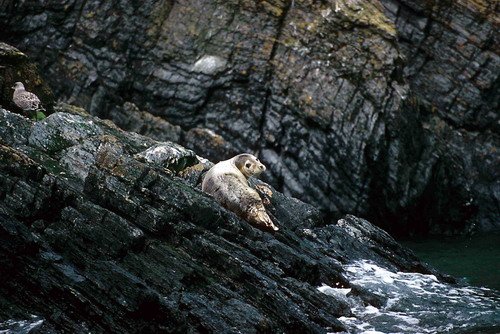 GRS PGHEvans22 image grs_pghevans22-jpg