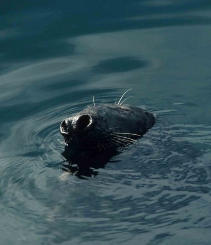 GRS PGHEvans44a image grs_pghevans44a-jpg