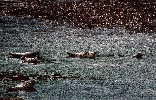 GRS PGHEvans7 image grs_pghevans7-jpg